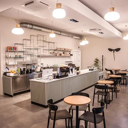 酒店 提斯扎维格塞格德酒店 4*