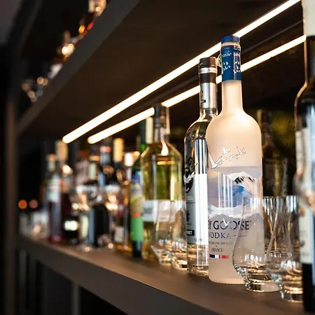 酒店 提斯扎维格塞格德酒店 塞格德