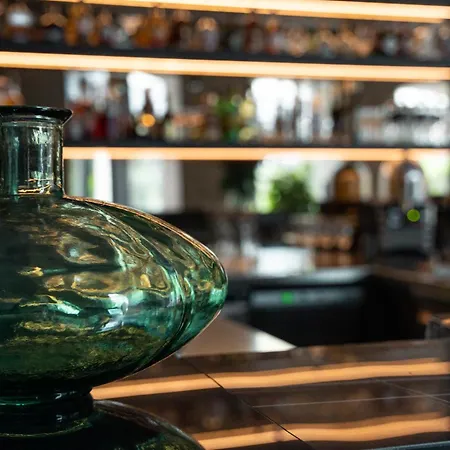 酒店 提斯扎维格塞格德酒店 4*